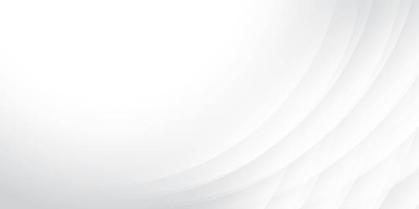 istock Abstract  white and gray color, modern design stripes background with curve lines. Vector illustration. 2169030943