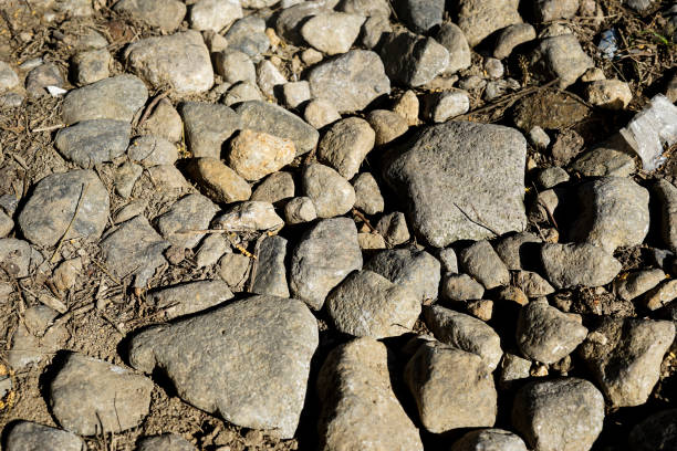 abstract texture background of small soft colored stones