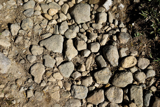 abstract texture background of small soft colored stones