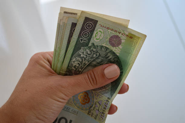 istock Polish Zloty Banknotes in Hand 2169034319