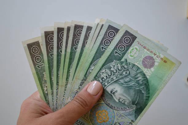 istock Polish Zloty Banknotes in Hand 2169034336