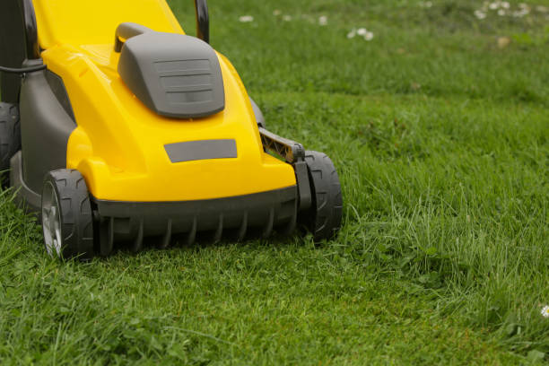 istock Yellow lawn mower on the spring green grass in the yard 2169034713