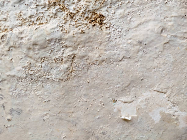 istock grunge wall texture. old wall with peeled paint 2169036166