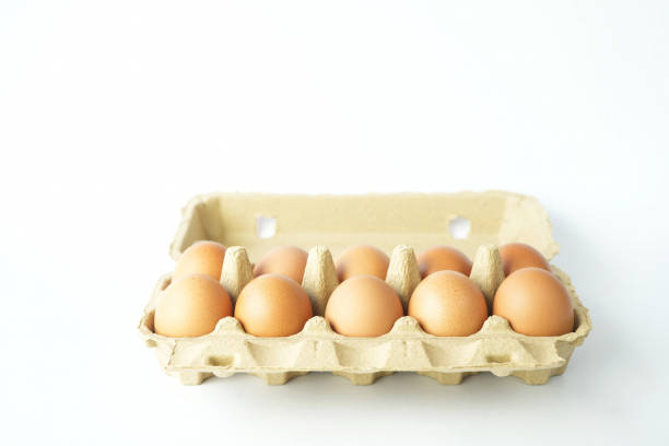 Chicken egg set, healthy natural protein. Food.