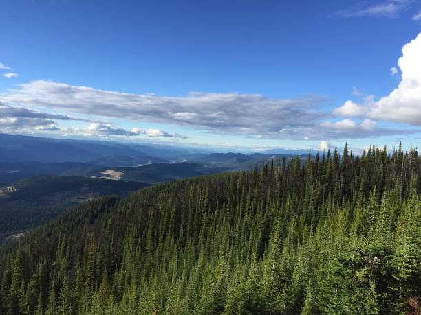 Mount Lolo Lookout