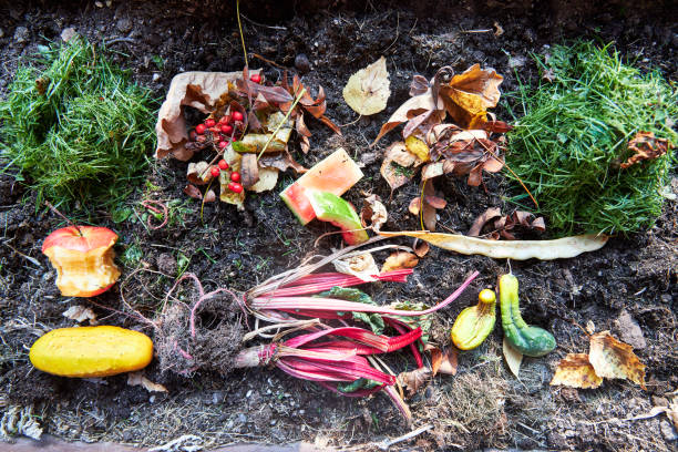 istock natural ingredients on the ground to make compost 2169039771