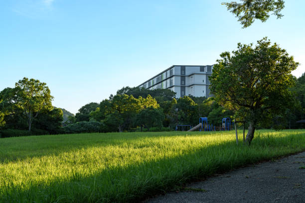 Scenery of a park with many plants and trees