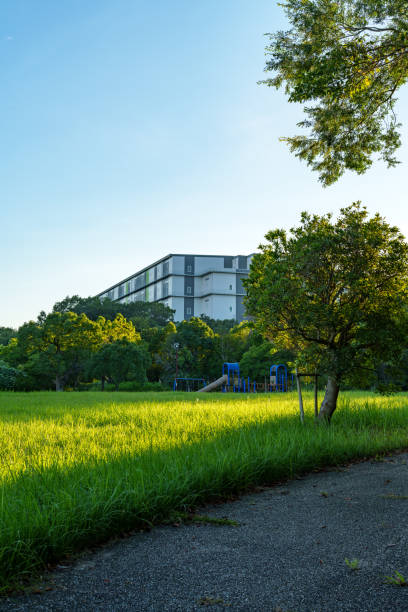 istock Scenery of a park with many plants and trees 2169043558