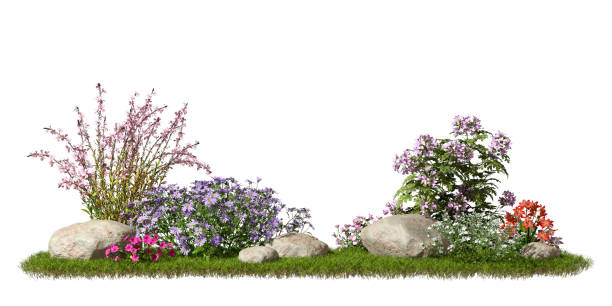istock Flower gardening composition design landscape cutout white backgrounds 3d illustration 2169044783