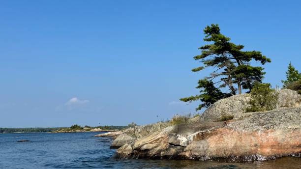 istock Weathered Granite Island with lone pine tree, Georgian Bay 2169044836