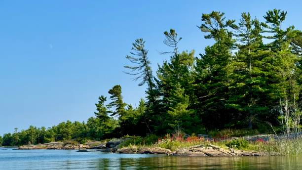 istock Georgian bay shoreline 2169044850