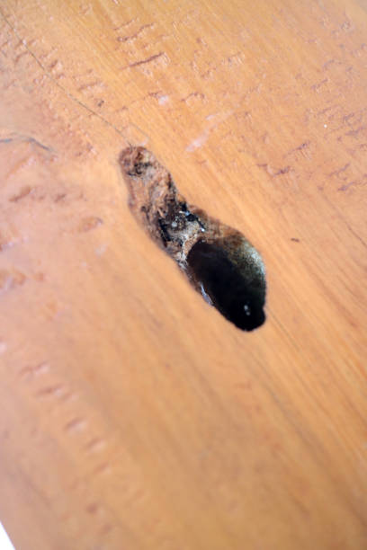 istock a Black hole on wooden table 2169047954