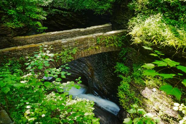 Watkins Glen State Park New York