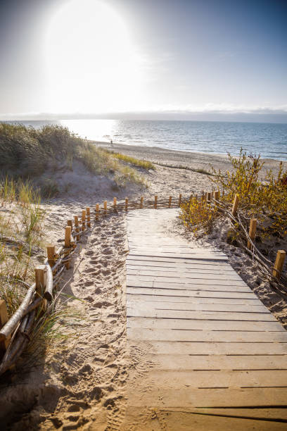 istock A tranquil beach in Palanga, Lithuania, featuring a wooden boardwalk that winds through sandy dunes towards the sea 2169049075