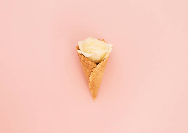 istock milky rose flower in a waffle cone for ice cream 2169051000