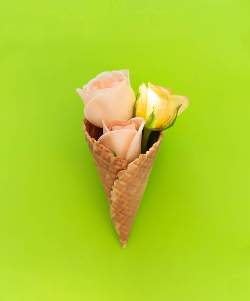 istock three soft pink roses in a waffle ice cream cone on green background 2169051002