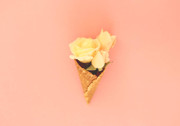 istock three soft pink roses in a waffle ice cream cone 2169051005