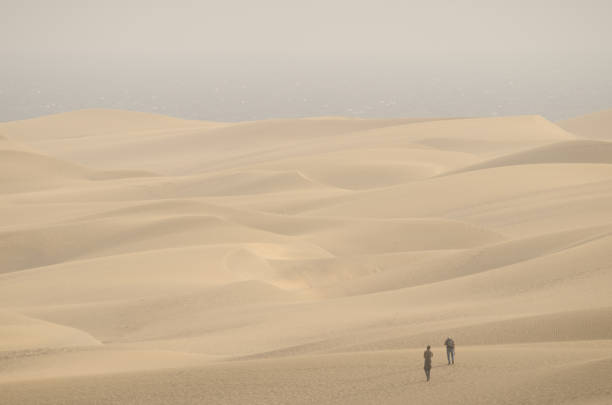 Two men walking in the Maspalomas Dunes. Natural Reserve of the Maspalomas Dunes. San Bartolome de Tirajana. Gran Canaria. Canary Islands. Spain.