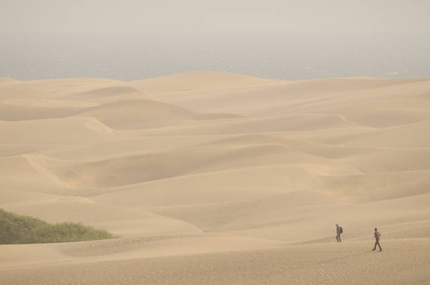 Two men walking in the Maspalomas Dunes. Natural Reserve of the Maspalomas Dunes. San Bartolome de Tirajana. Gran Canaria. Canary Islands. Spain.