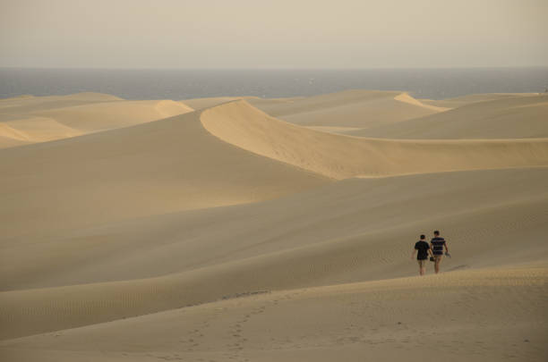 Giant Sand Dunes in Cape Reinga - New Zealand