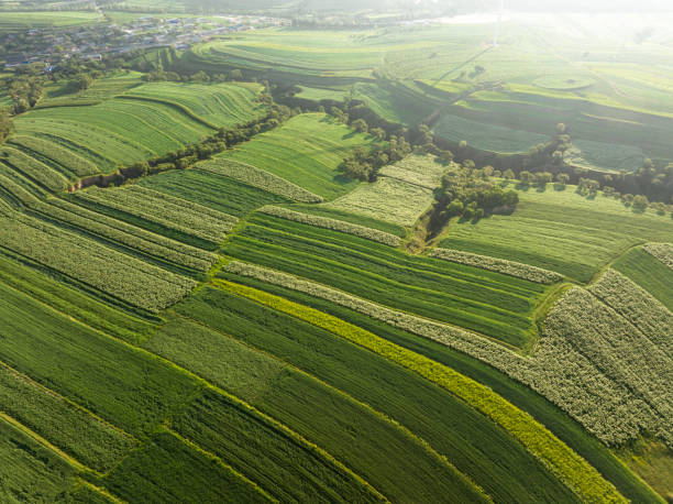 istock view of agriculture field 2169053117