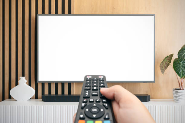 istock Modern living room interior with blank smart TV. 2169054293