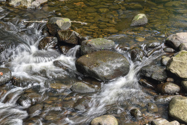 a brook cascading through the  forest in massachusetts
