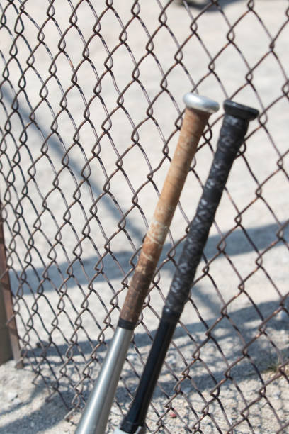 istock Bats Against the Fence 2169061547