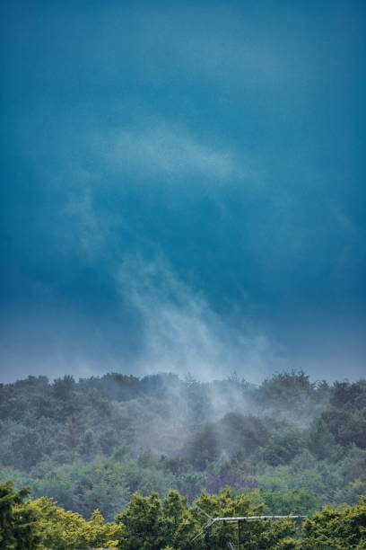 Moist damp cloudscape rising over the forest trees after rain and storm bringing humidity at dawnWith copy space