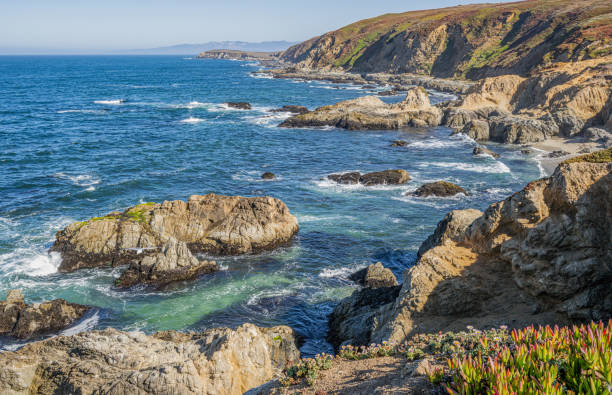 istock Sonoma County coast with the Pacific Ocean and waves at Bodega Head. Sonoma Coast State Park. Bodega Head State Park. 2169068432