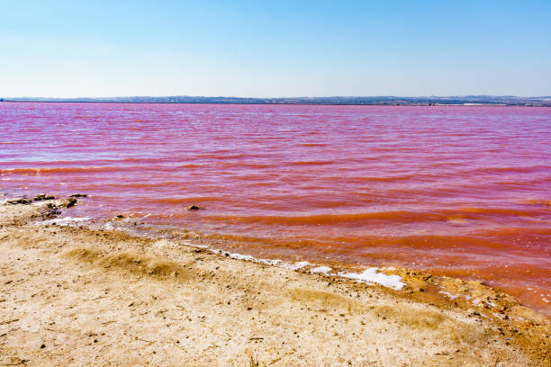 istock Pink lake, coastal landscape, Spain 2169074813