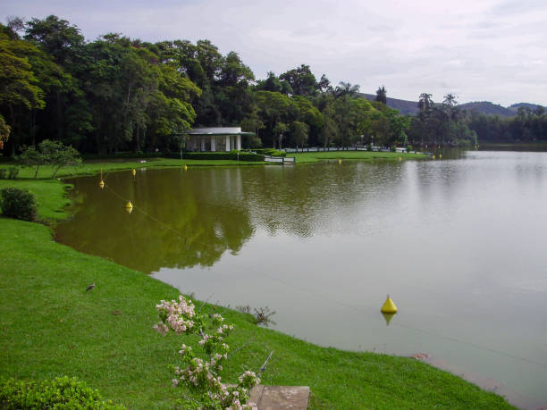 istock Lake in the public park 2169080847