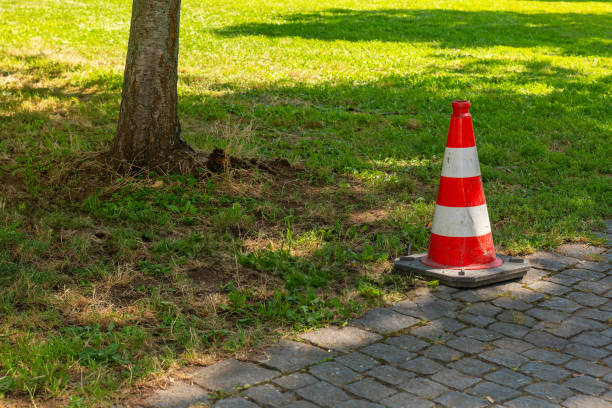 istock red and white cone is sitting on a brick walkway next to a tree 2169088995