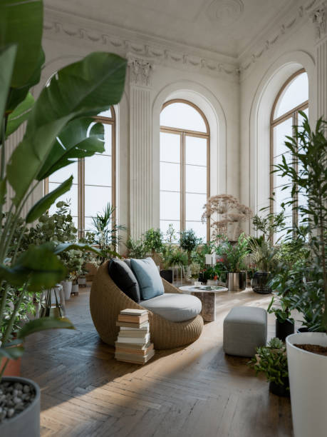 istock Classic living room many house plants 2169113511