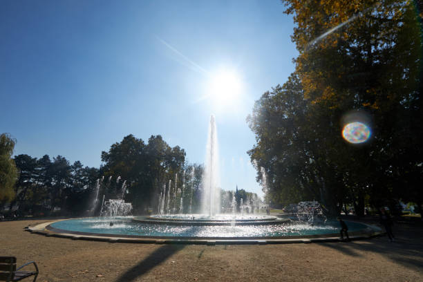 This image showcases a grand fountain in a spacious park, with powerful water jets reaching up towards the bright sun overhead. The sunlight casts a gentle glow through the mist, creating a magical atmosphere. Tall trees frame the fountain, adding a natural border and providing shade on either side. The calm and refreshing setting invites relaxation, with the fountain’s spray and sparkling water offering a moment of tranquility. This peaceful park scene highlights the harmonious blend of nature and man-made beauty.