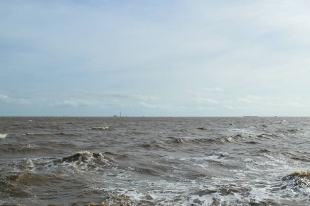 istock muddy sea in Chachoengsao Thailand 2169129037