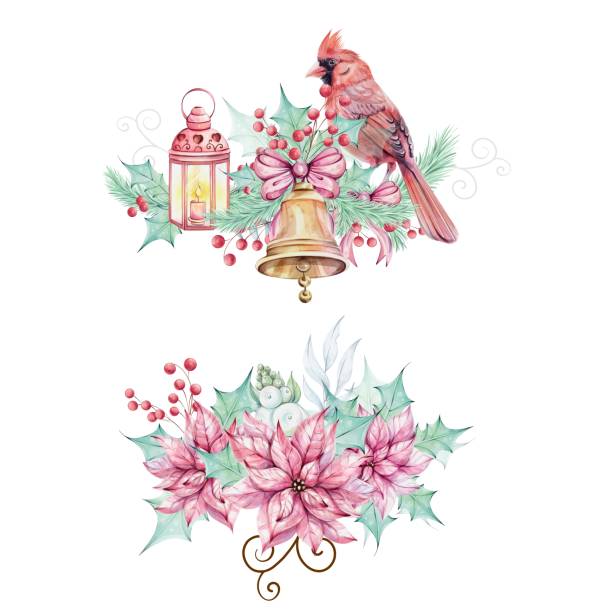 Watercolor arrangements - Christmas bird red cardinal, with brunch, red berries and bow, isolated. Red poinsettia flowers bouquet with holly green leaves. Border Symbol of Christmas. Winter holiday decoration in retro, vintage style. Hand drawn Watercolor arrangements - Christmas bird red cardinal, with brunch, red berries and bow, isolated. Red poinsettia flowers bouquet with holly green leaves. Border Symbol of Christmas. Winter holiday decoration in retro, vintage style. Hand drawn illustration three red cardinals stock illustrations