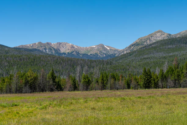 istock Vast green meadow surrounded by mountain ranges under a clear blue sky 2169129861