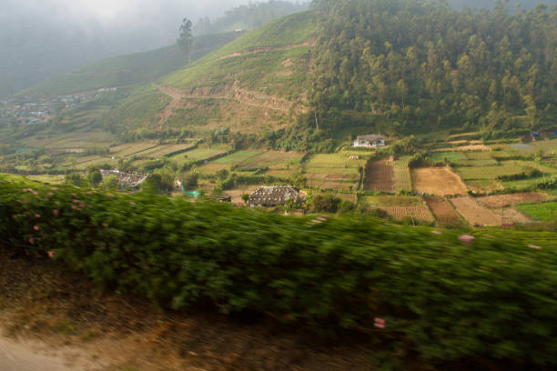 View of the farming village of vattavada in Munnar, kerala India