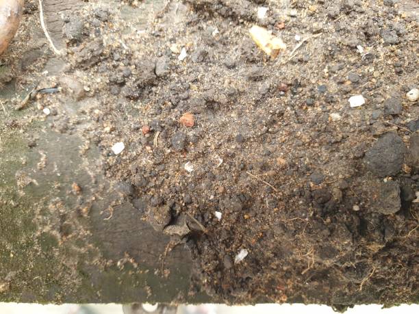 istock The soil texture is suitable for the background 2169139878