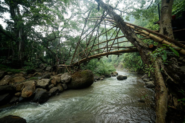 istock Traditional bridge made of bamboo in Sukabumi, West Java, Indonesia 2169144971