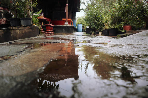 istock A wet surface on the yard with water puddle after the rain 2169145242