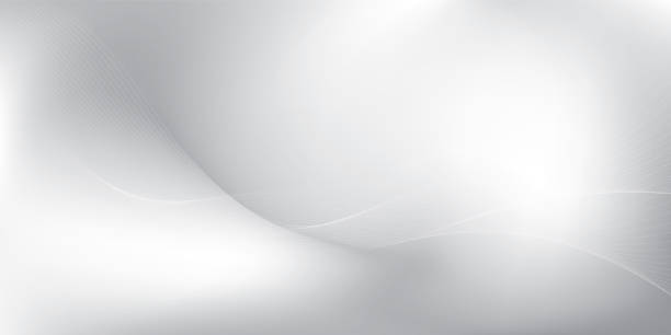 istock Abstract  white and gray color, modern design stripes background with curve lines, wavy pattern. Vector illustration. 2169146622