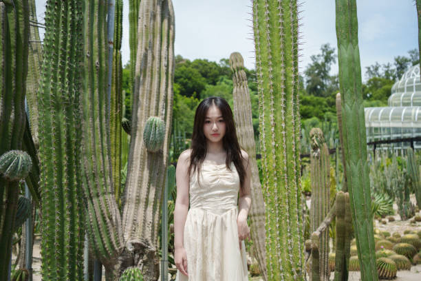 istock Female tourist in cactus jungle 2169146967