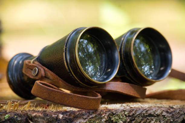 istock Vintage binoculars resting on a tree stump in a peaceful forest setting 2169152982