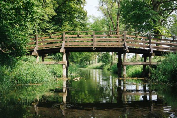 Rustic wooden pier above river in summer. Rural scene