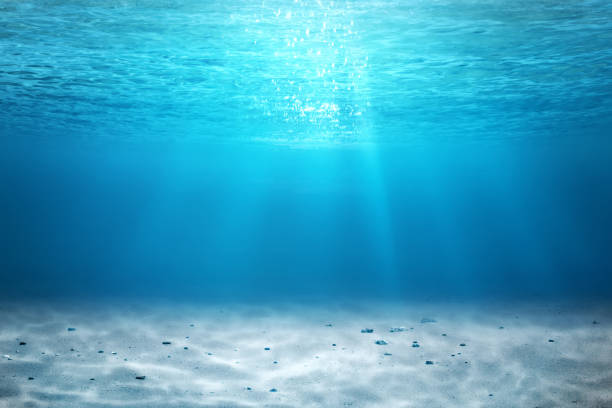 istock Underwater sea landscape with sunlight, Nature background 2169156944
