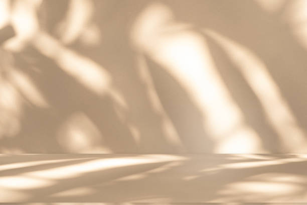 istock Studio style background wall decoration presentation uses white and beige tones. with shadows cast from a nearby window, concept creating a decorative 2169160168