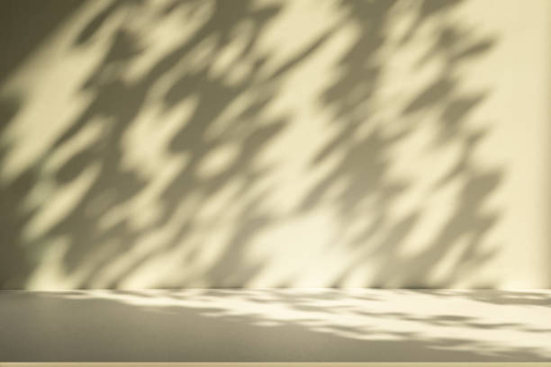 istock Studio style background wall decoration presentation uses white and beige tones. with shadows cast from a nearby window, concept creating a decorative 2169160206