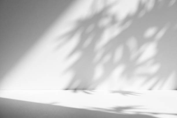 istock Studio style background wall decoration presentation uses white tones. with shadows cast from a nearby window, concept creating a decorative backdrop. 2169160207